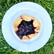 NEW! Wild Blueberry Jam
