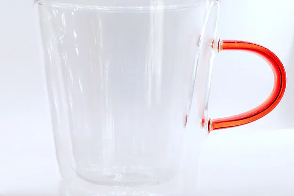 Double Wall Glass Mug