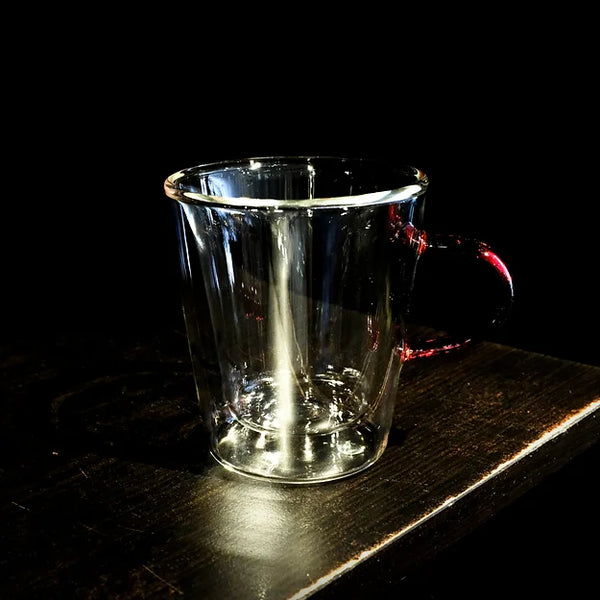 Double Wall Glass Mug