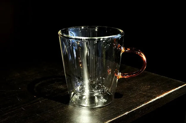 Double Wall Glass Mug